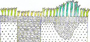 crop-marks-diagram